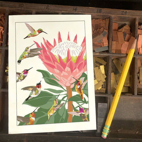 RBI-9151 Hummingbirds and King Protea