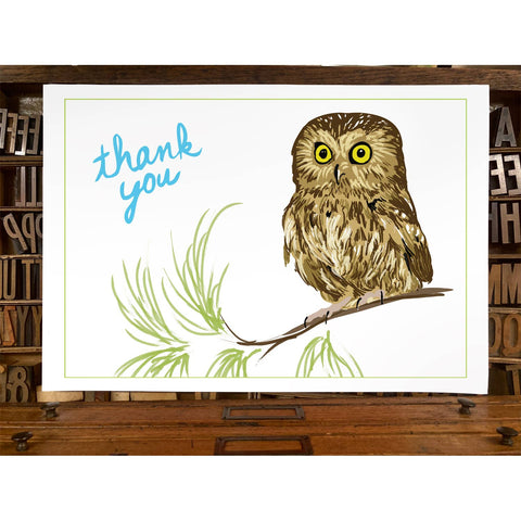 RTY-30 Saw-Whet Owl - Thank You