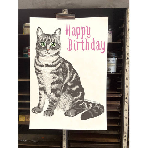 RHB-9025 Happy Birthday American Shorthair Cat