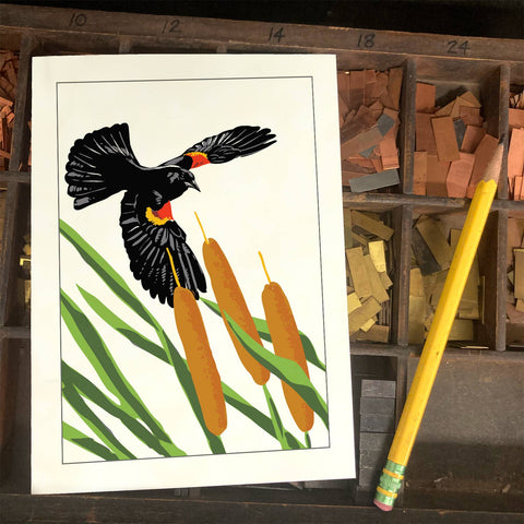 RBI-191  Red-winged Blackbirds and Cattails