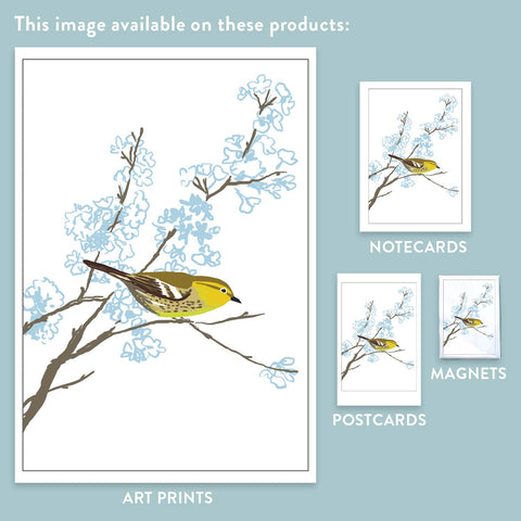 RBI-05 Warbler in Flowering Tree