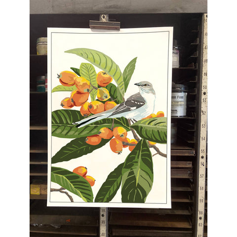 RBI-213  Loquat & Mockingbird