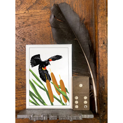 RBI-191  Red-winged Blackbirds and Cattails