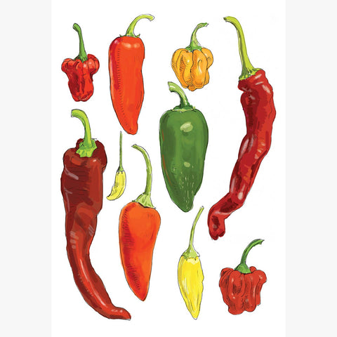RFM-512 Hot Peppers