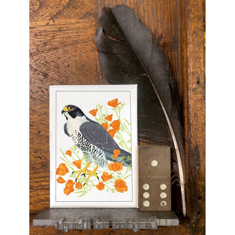 RBI-9153 Peregrine Falcon and California Poppies