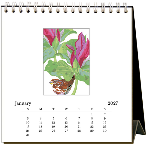 Bay Area Birds 2027 Easel Desk Calendar - 6 qty