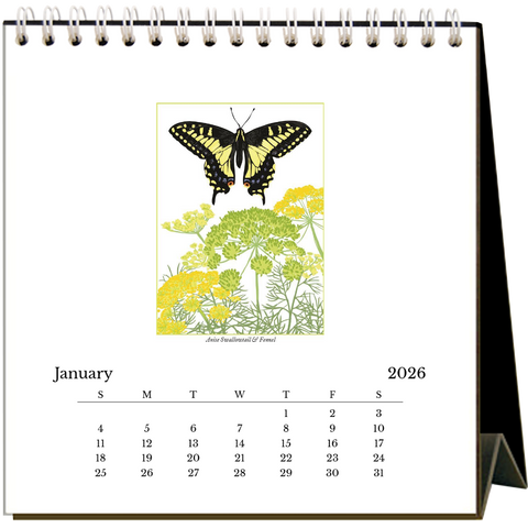 Butterflies 2026 - Pack of 6