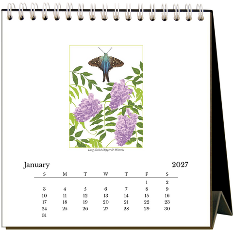 Butterflies 2027 Easel Desk Calendar - 6 qty
