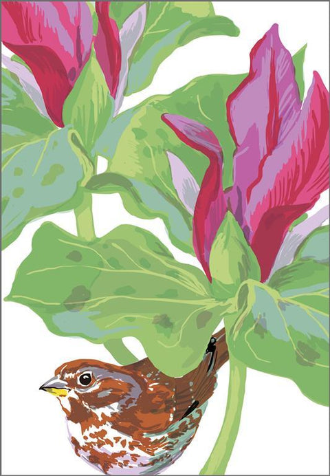 RBI-9140 Fox Sparrow Giant Trillium