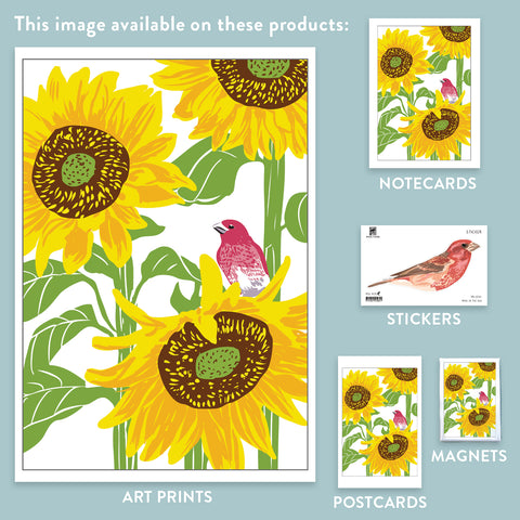 RBI-141 Purple Finch & Sunflower