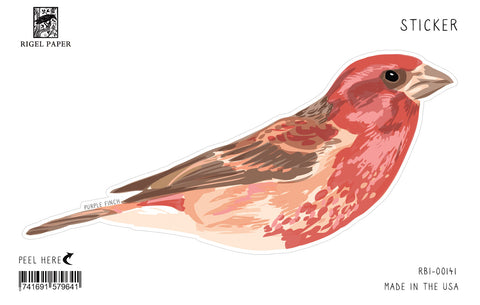 RBI-141 Sticker: Purple Finch