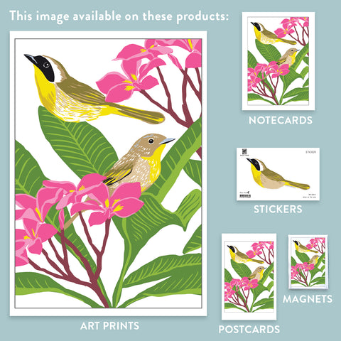 RBI-145 Common Yellowthroat & Plumeria