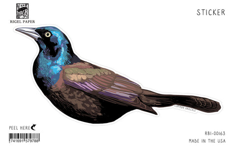 RBI-163 Sticker: Grackle