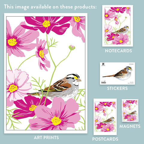 RBI-223 White-Throated Sparrow & Cosmos