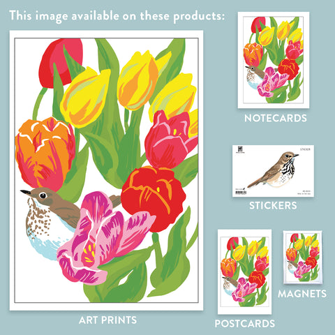 RBI-233 Hermit Thrush and Tulips