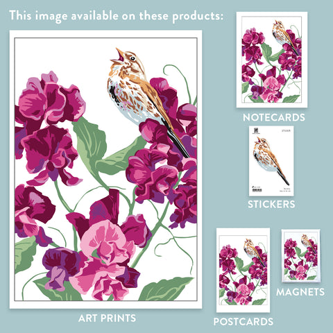 RBI-9136 Sweet Peas and Song Sparrow