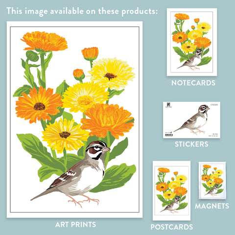 RBI-9158  Lark Sparrow and Calendulas