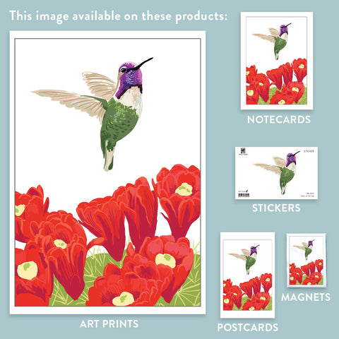 RBI-9172 Costa's Hummingbird and Cactus