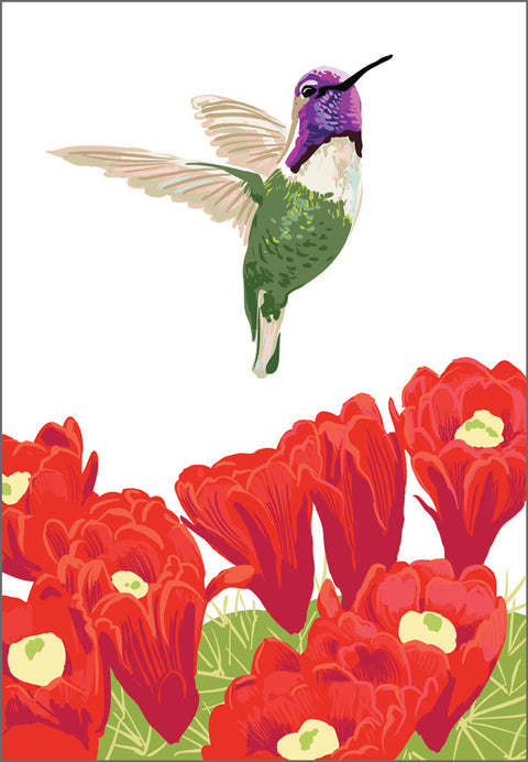 RBI-9172 Costa's Hummingbird and Cactus