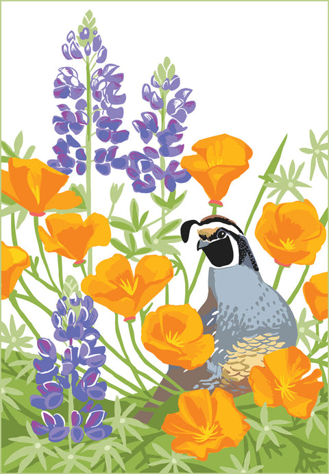 New Birds Arrivals Winter 2026!