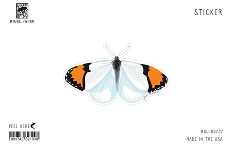 RBU-737 Sticker: Sara Orangetip Butterfly