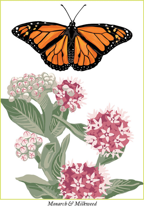 RBU-731 Monarch Butterfly