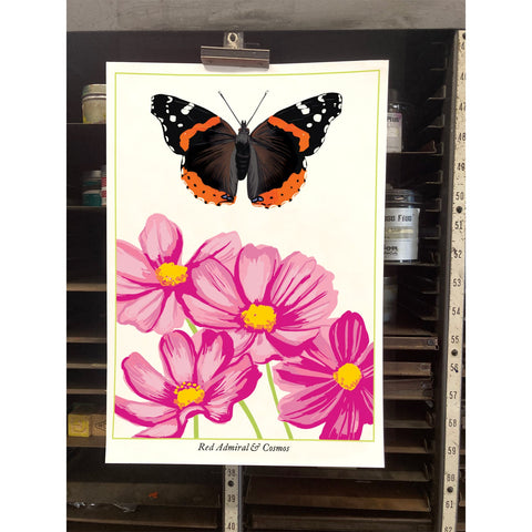 RBU-736 Red Admiral Butterfly