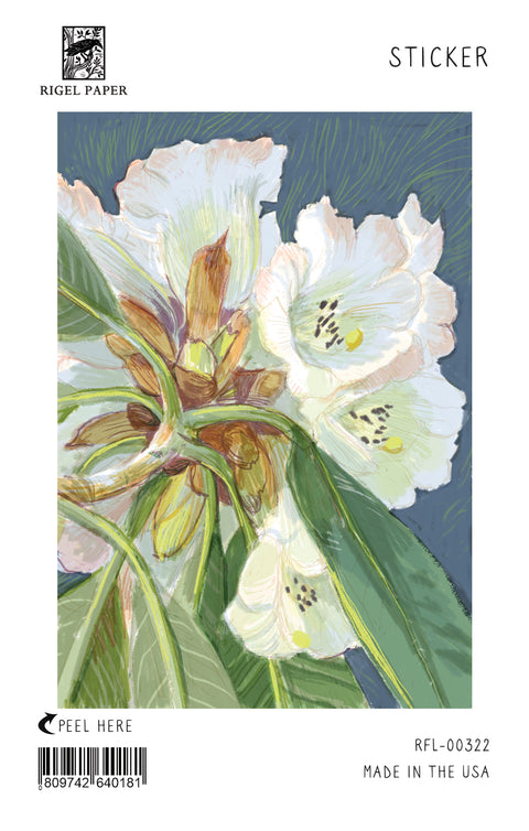 RFL-322 White Rhododendron