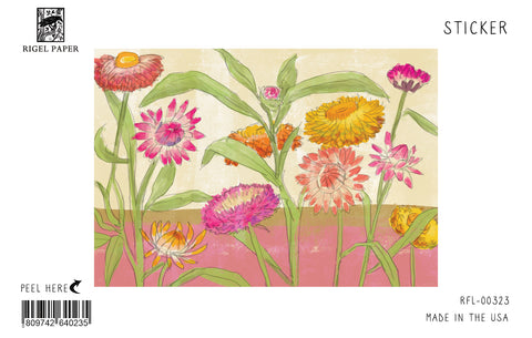 RFL-323 Strawflowers