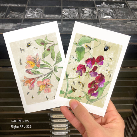 RFL-325 Sweet Pea and Pollinators