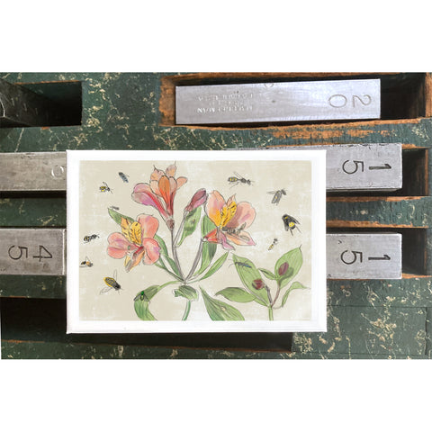 RFL-315 Alstroemeria and Insects