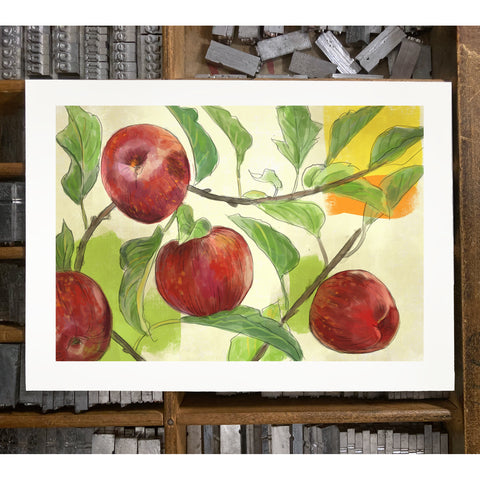 RFL-316 Apples on Branches