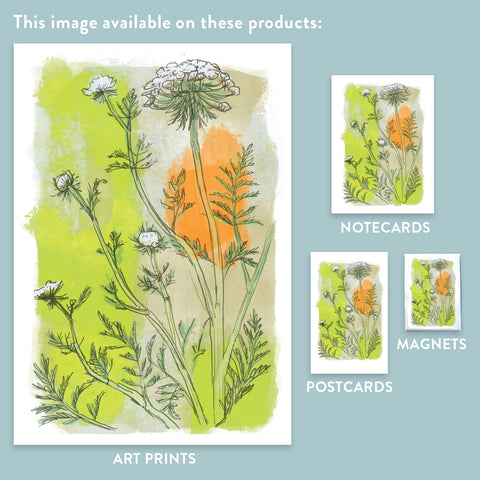 RFL-317 Carrot Blossoms