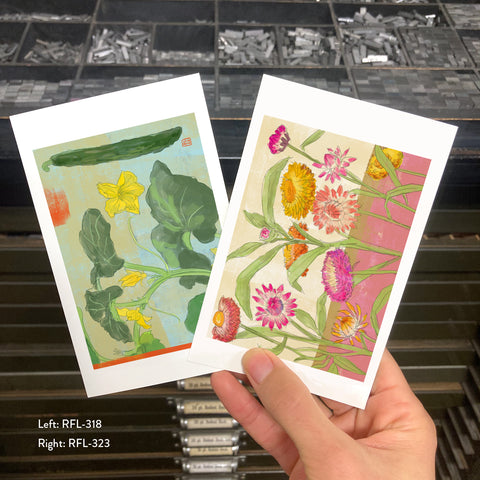 RFL-323 Strawflowers