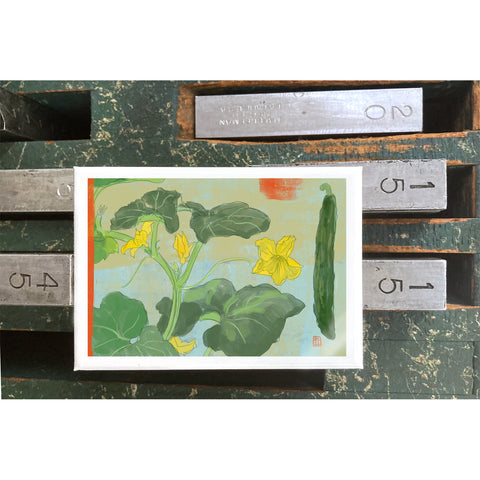 RFL-318 Cucumber Vine