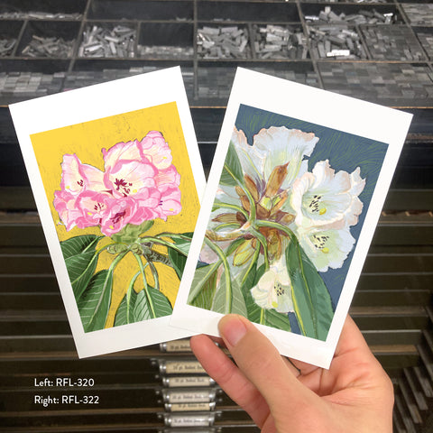 RFL-322 White Rhododendron
