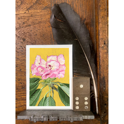 RFL-320 Pink Rhododendron