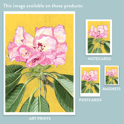 RFL-320 Pink Rhododendron