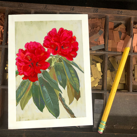 RFL-321 Red Rhododendron