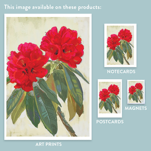 RFL-321 Red Rhododendron