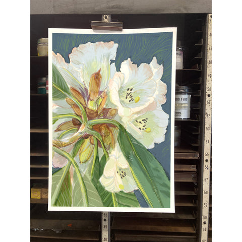 RFL-322 White Rhododendron