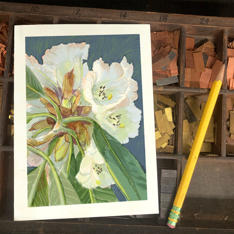 RFL-322 White Rhododendron