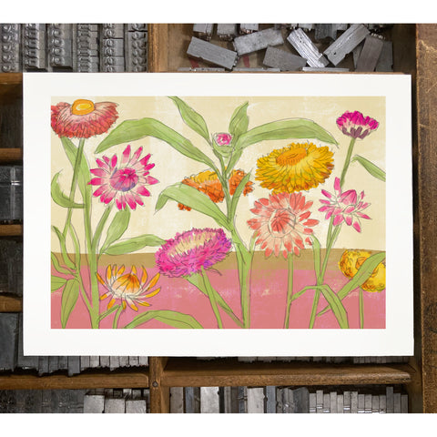 RFL-323 Strawflowers