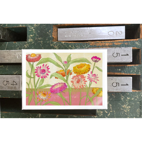 RFL-323 Strawflowers