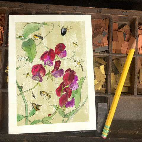 RFL-325 Sweet Pea and Pollinators