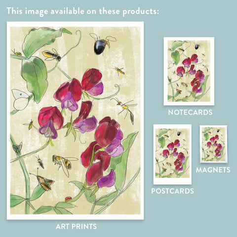 RFL-325 Sweet Pea and Pollinators