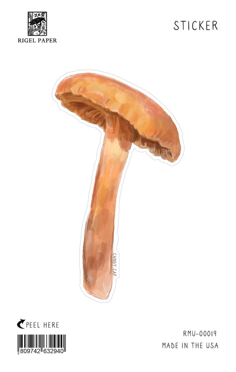 RMU-19 Edible Mushrooms 1