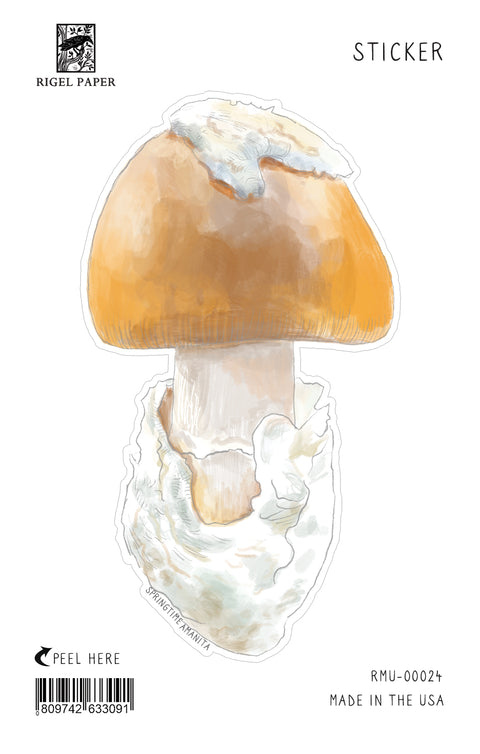 RMU-24 Amanita Mushrooms