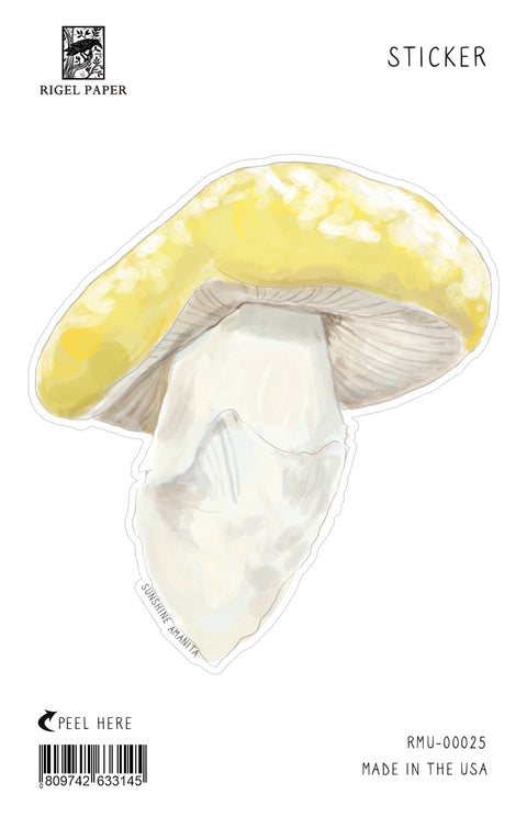 RMU-25 Unusual Mushrooms 1
