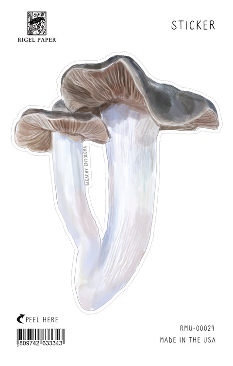 RMU-29 Unusual Mushrooms 4
